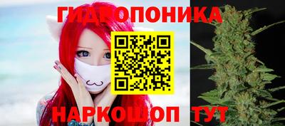 кокс Пушкино